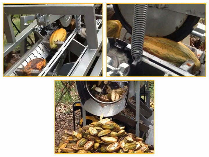 maquina separadora de granos de cacao verde