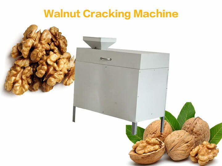 walnut pecan cracking machine