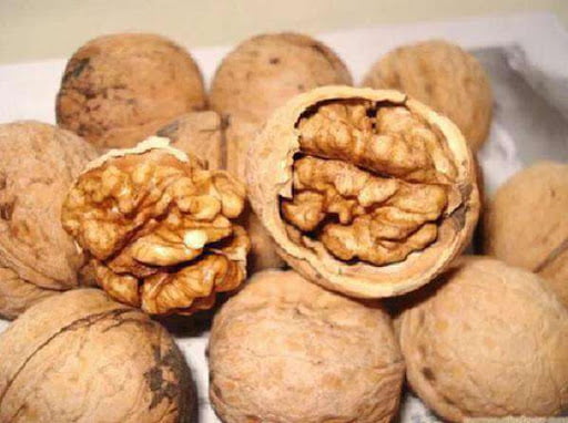 walnut