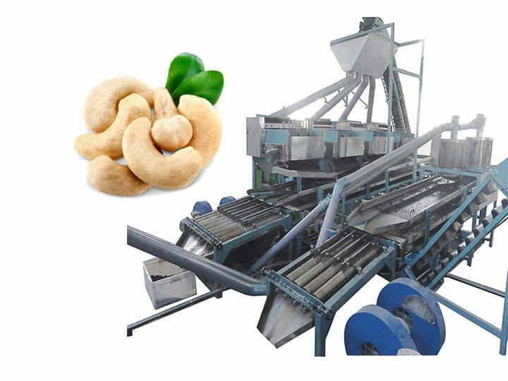 Автоматический завод по переработке орехов кешью