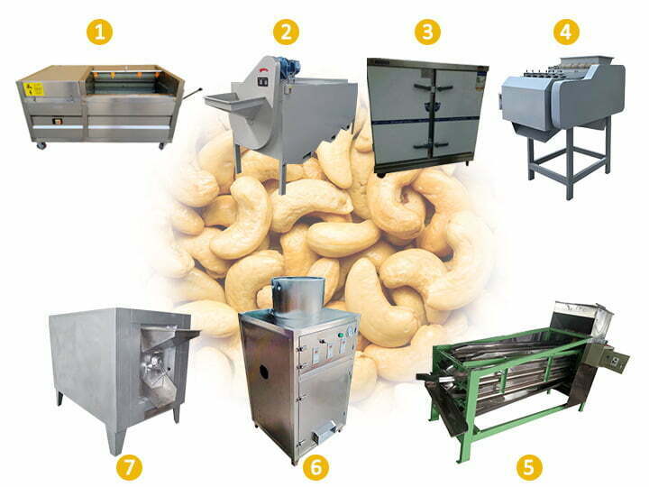 Cashew Nut Processing Machine in Kaju Processing Plant