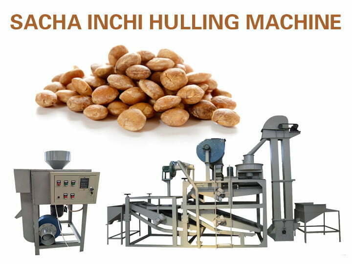 Sacha inchi, máquina descascaradora de semillas de moringa