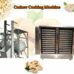 cashew steaming machine