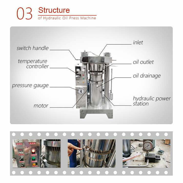 structure de la machine de presse à huile hydraulique