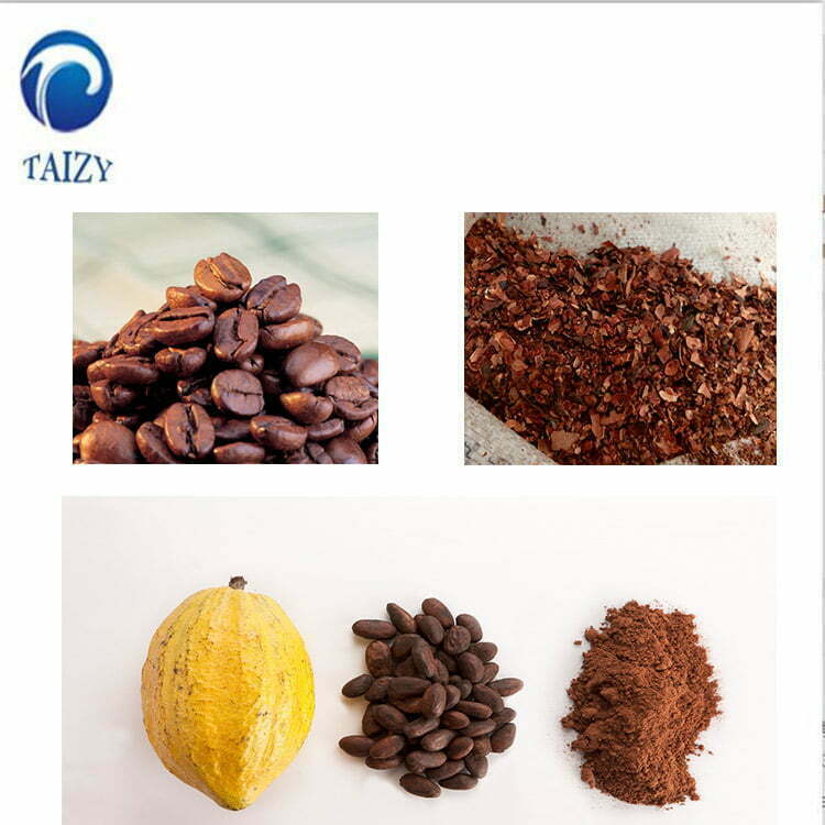 grano de cacao