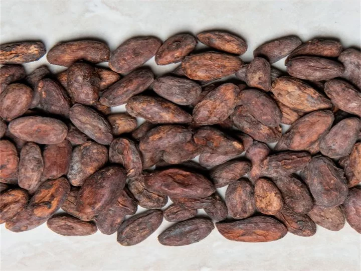 fèves de cacao torréfiées