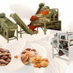 Almond Shelling Production Line