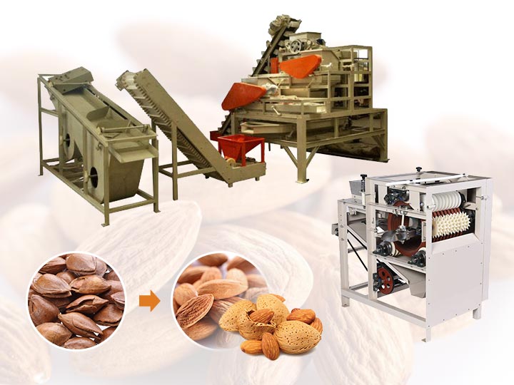 Wet almond peeling machine  peanut & broad bean peeler
