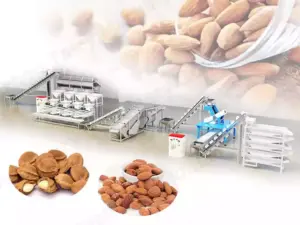 almond shelling line