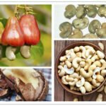 finished products of cashew nut cracker