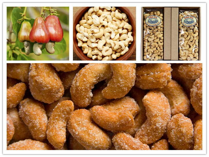 cashew nut