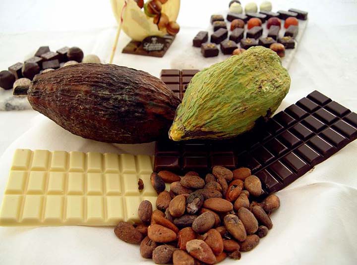 fèves de cacao du Venezuela