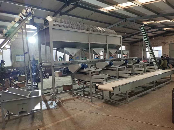 almond shelling production line