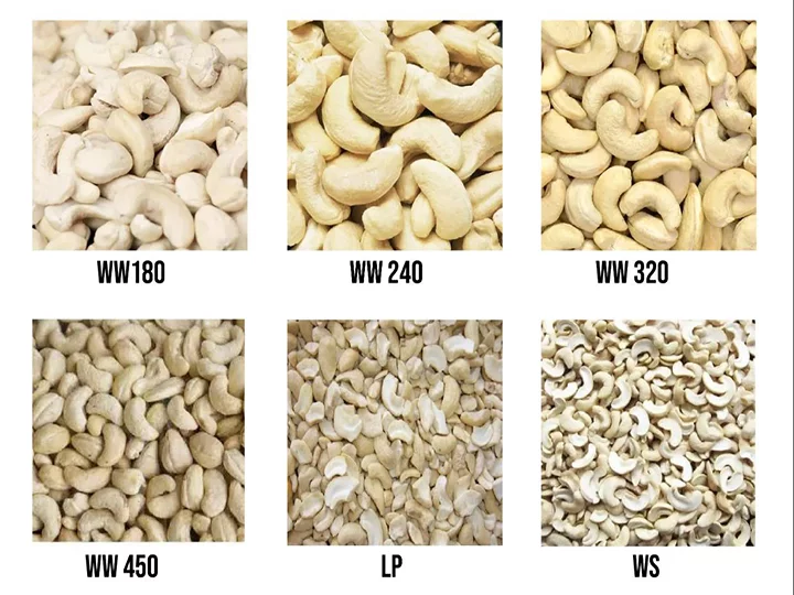 grade of raw cashews
