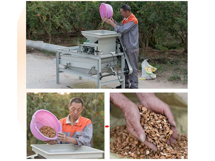 working process of almond sheller
