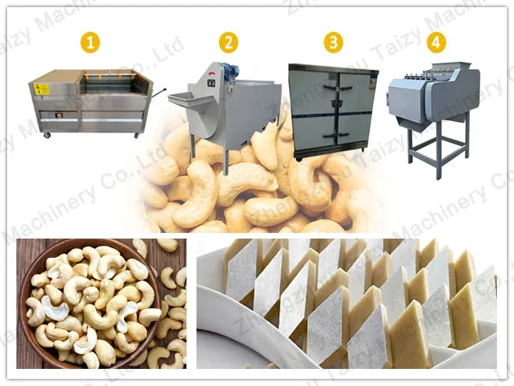 application of kaju cashew processing machine