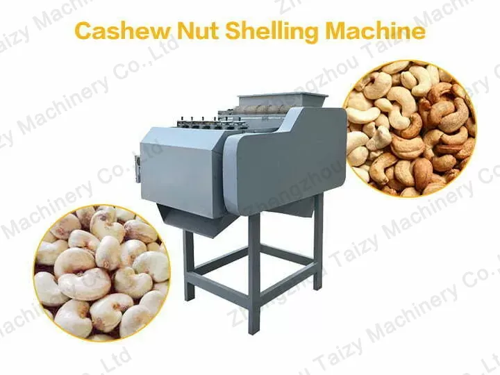 cashew nut shelling machine