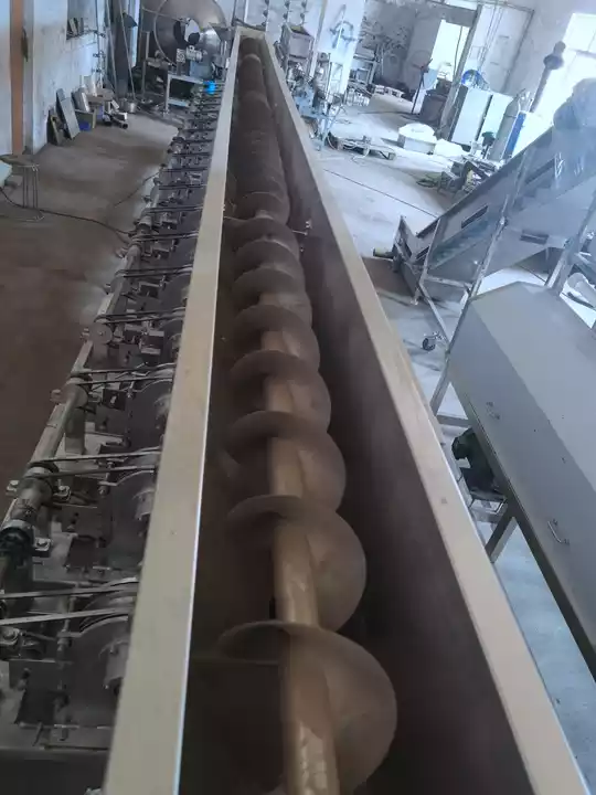 Hazelnut Conveyor Belt