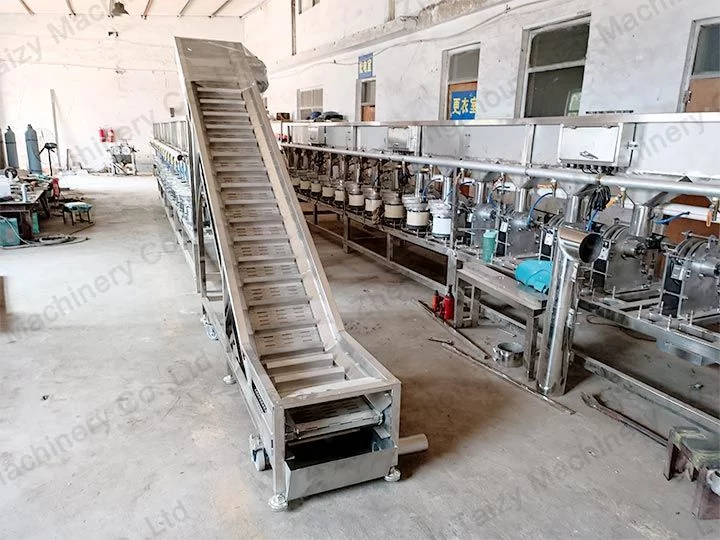 hazelnut processing line