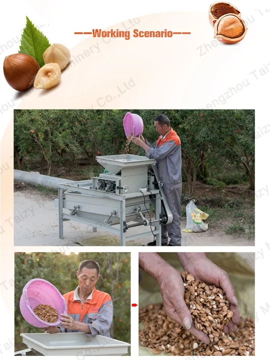 Almond sheller operated