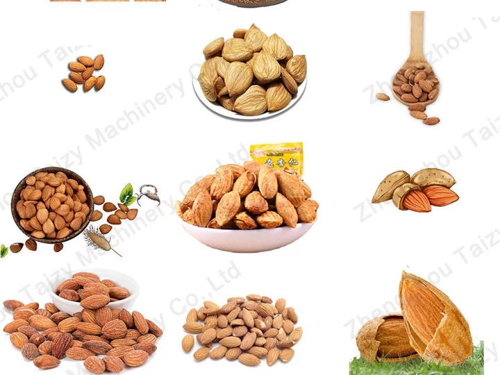 Finished picture of various nuts