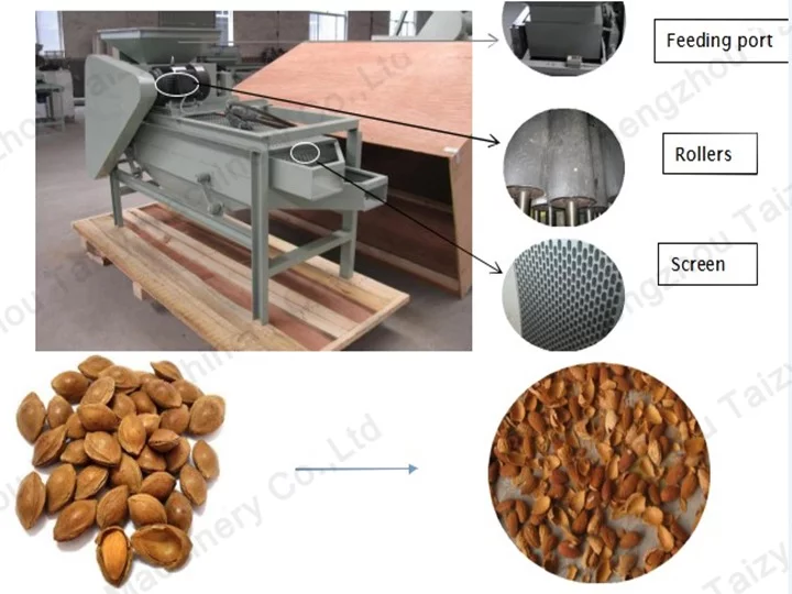 Taizy Almond Separator