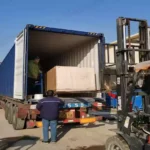 Hazelnuts sorted and packaged in boxes