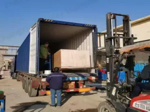 Avellanas clasificadas y envasadas en cajas