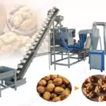 500kgh Automatic Walnut Shelling Line