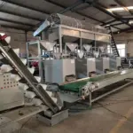 Línea automática de pelado de nueces