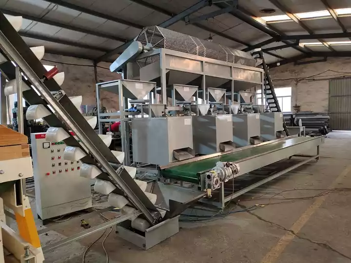 Automatic Walnut Shelling Line