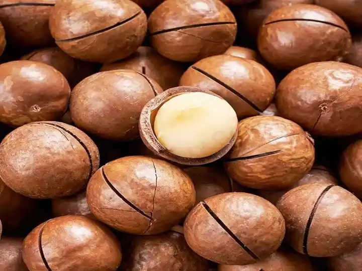Hawaiian nut