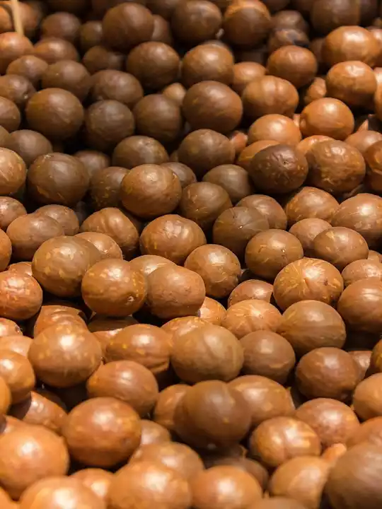 Macadamia nuts