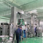 Ten-Head Nut Weigher Packager Factory